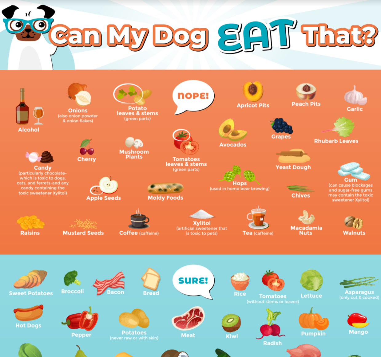 Can My Dog Eat That PDF - ($14.95 Value) FREE