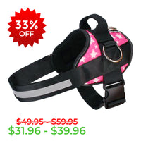 Upsell Product 2