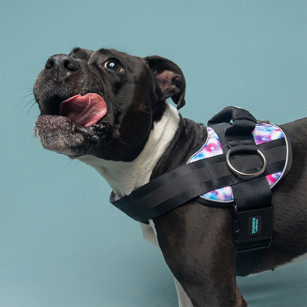 Joyride Premium Advanced Dog Harness 2.0 (Patterns)