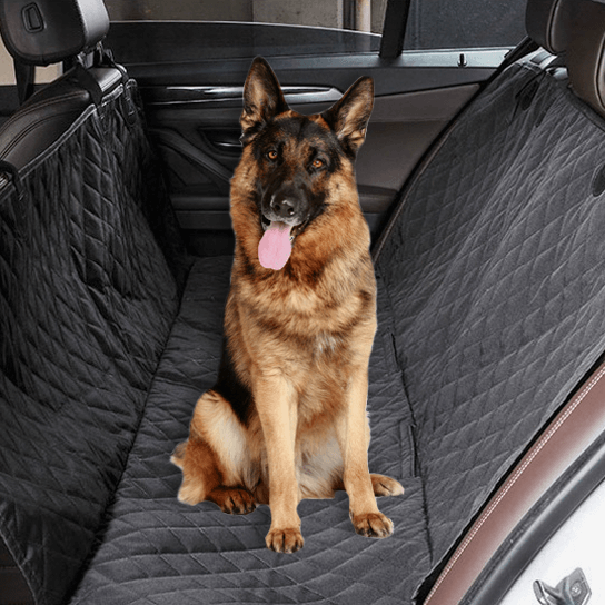 Back Seat Dog Cover