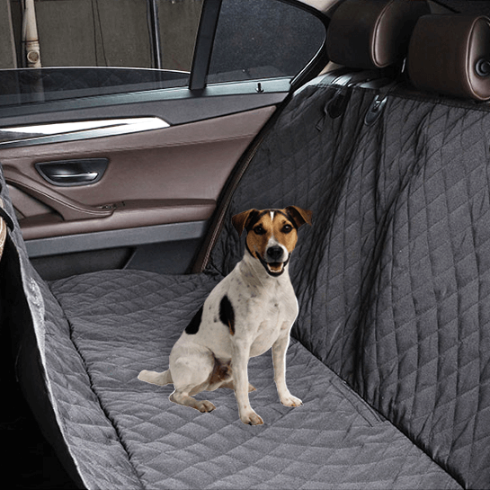 Back Seat Dog Cover | 15% Off