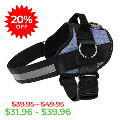 Denim Harness for Dogs Clearance