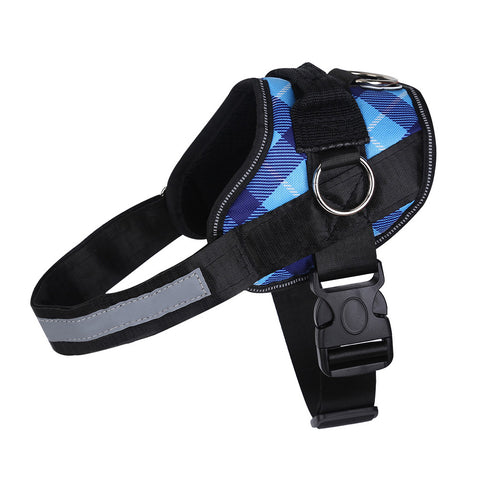 Blue Plaid Harness