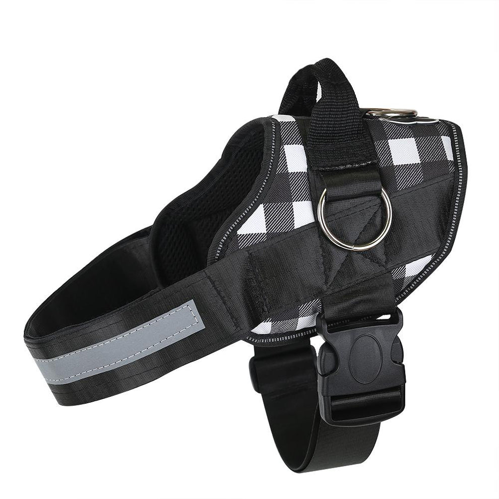Discount Limited Edition Harness Joyride Harness