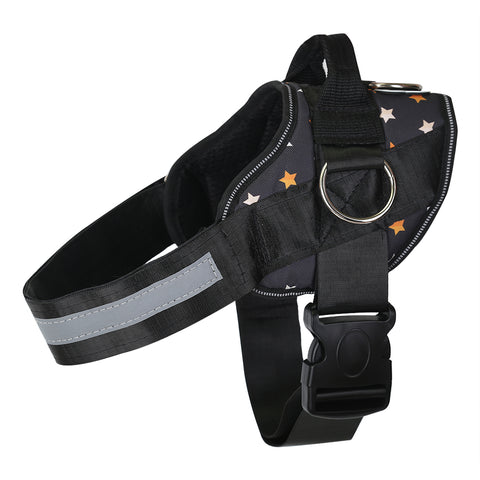 Fall Stars Harness