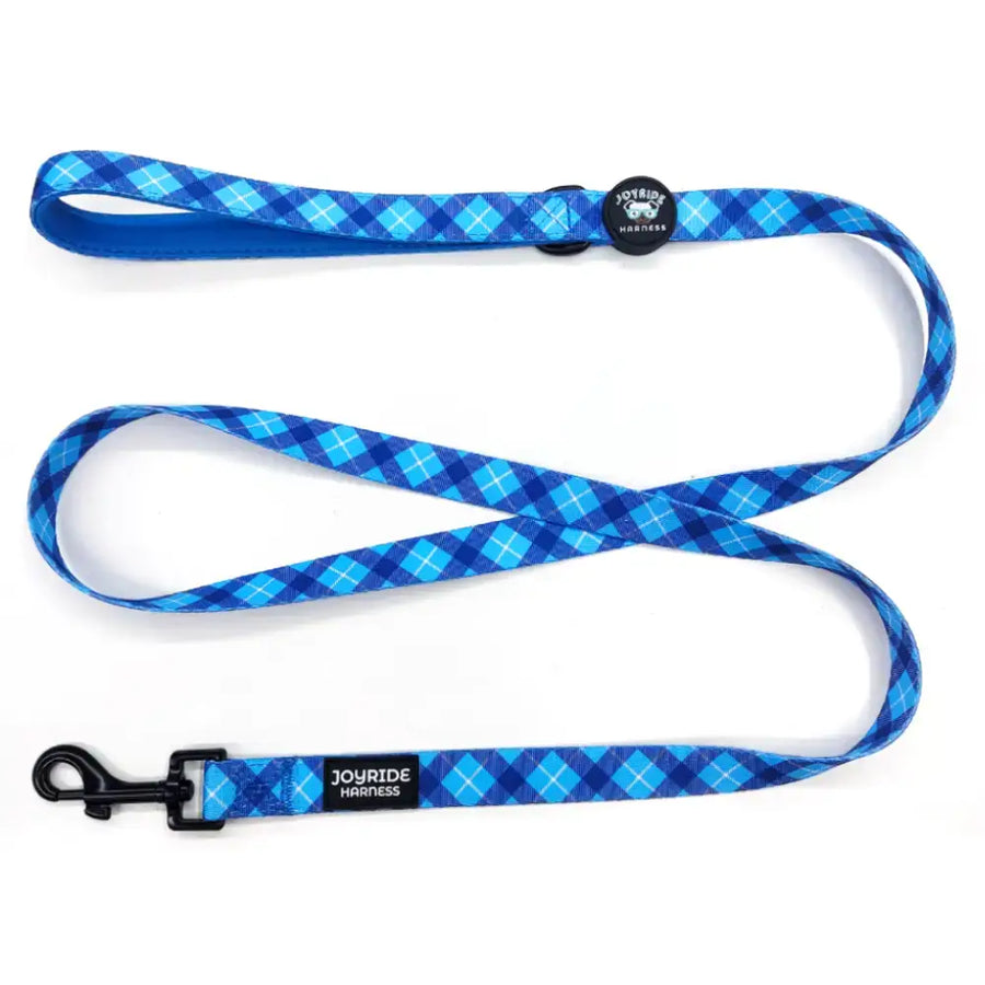 Blue Plaid Matching Dog Leash