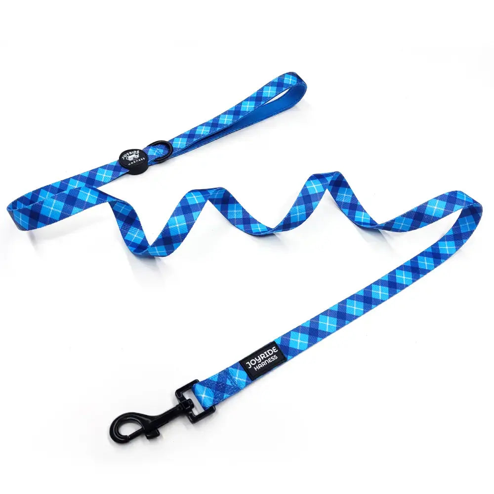 Blue Plaid Matching Dog Leash