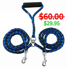 Double dog leash with harness D-ring attachment