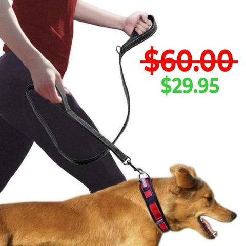 Heavy Duty Leash