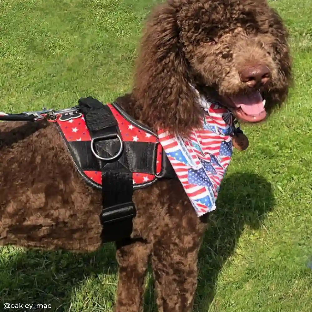 Patriotic Red Dog Harness