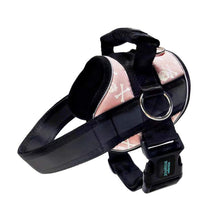 Pink Skulls Joyride Premium Advanced Dog Harness 2.0