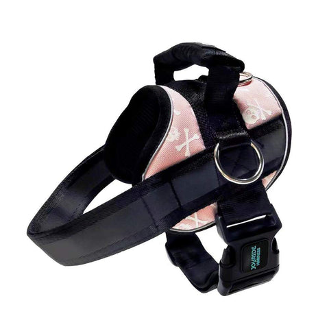 Pink Skulls Joyride Harness 2.0