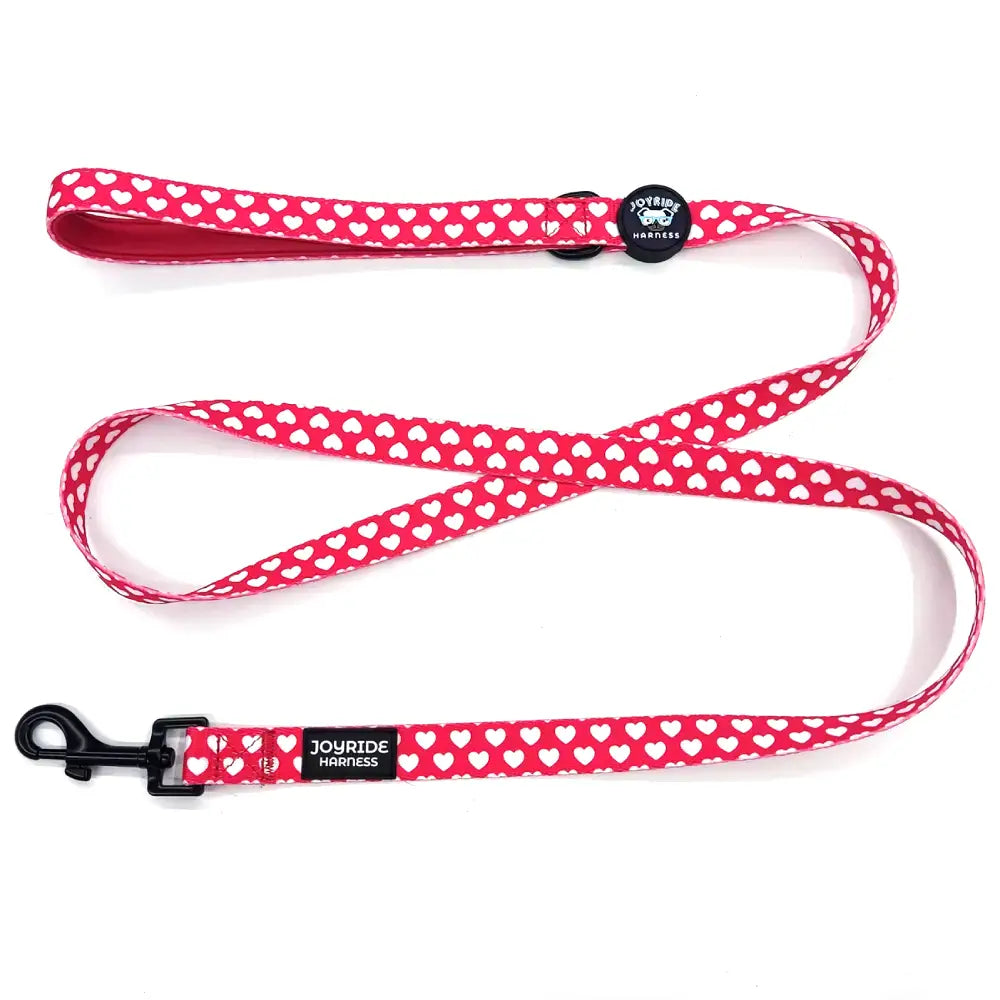 Red Hearts Matching Dog Leash