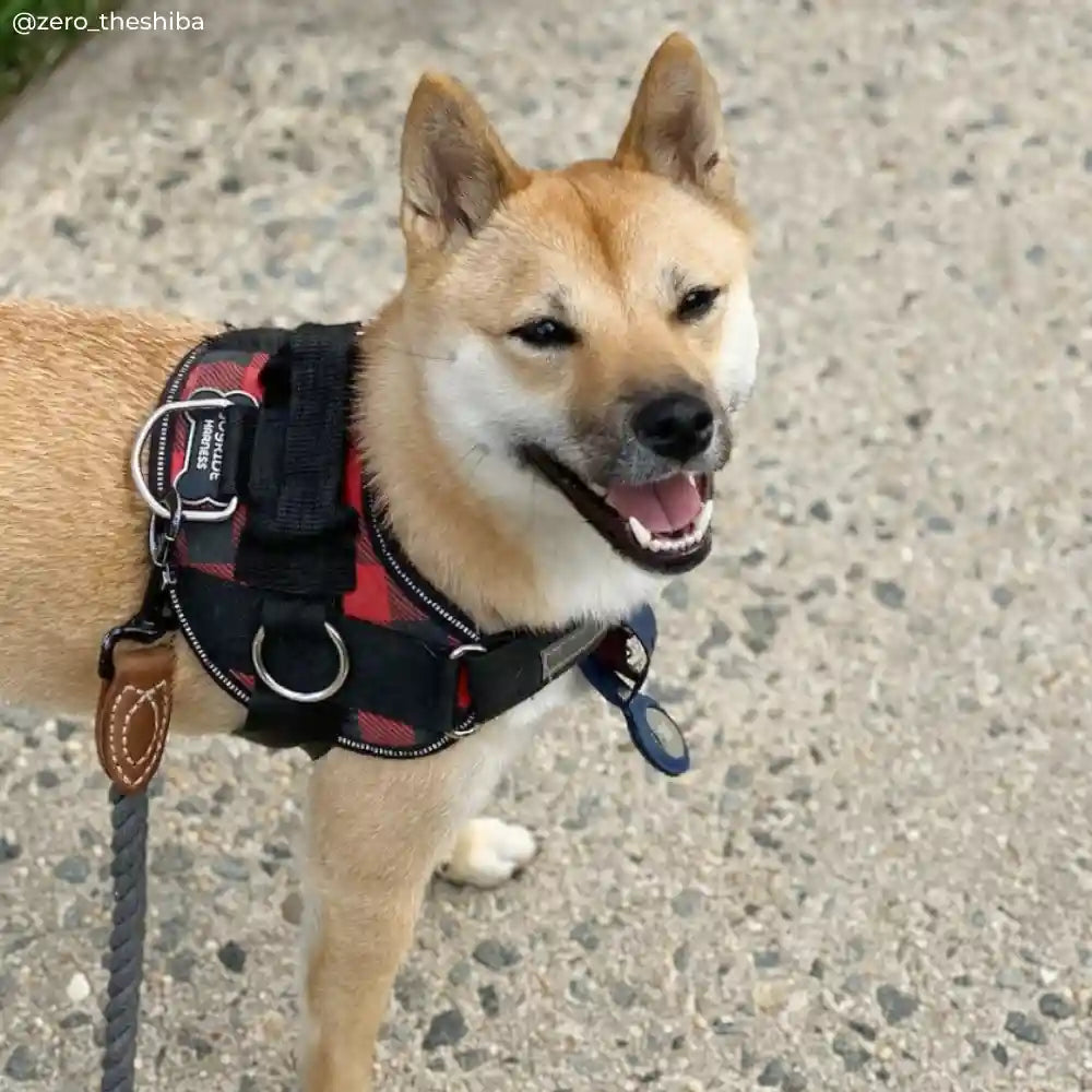 Red Plaid Dog Harness