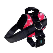 Red Snowflake Joyride Premium Advanced Dog Harness 2.0