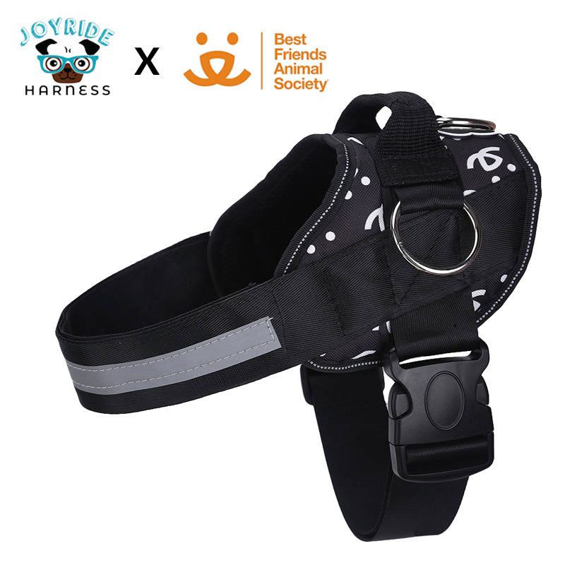Best Friends Animal Society SPECIAL EDITION Harness Clearance