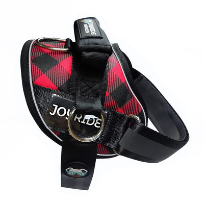 The Best Harness For Frenchies - Joyride Harness Reviews & Testimonial