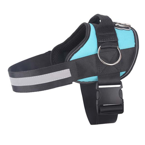 Teal Dog Harness