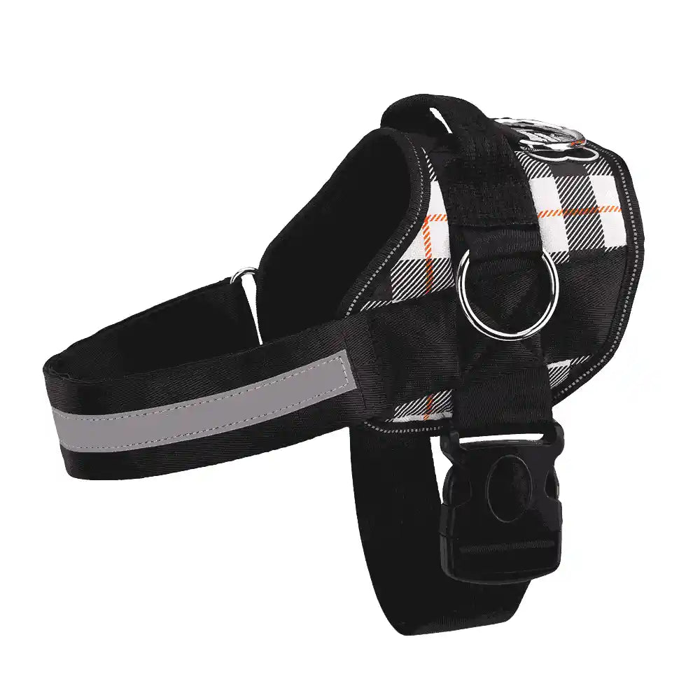Matching Limited Edition Joyride Harness | 15% Off