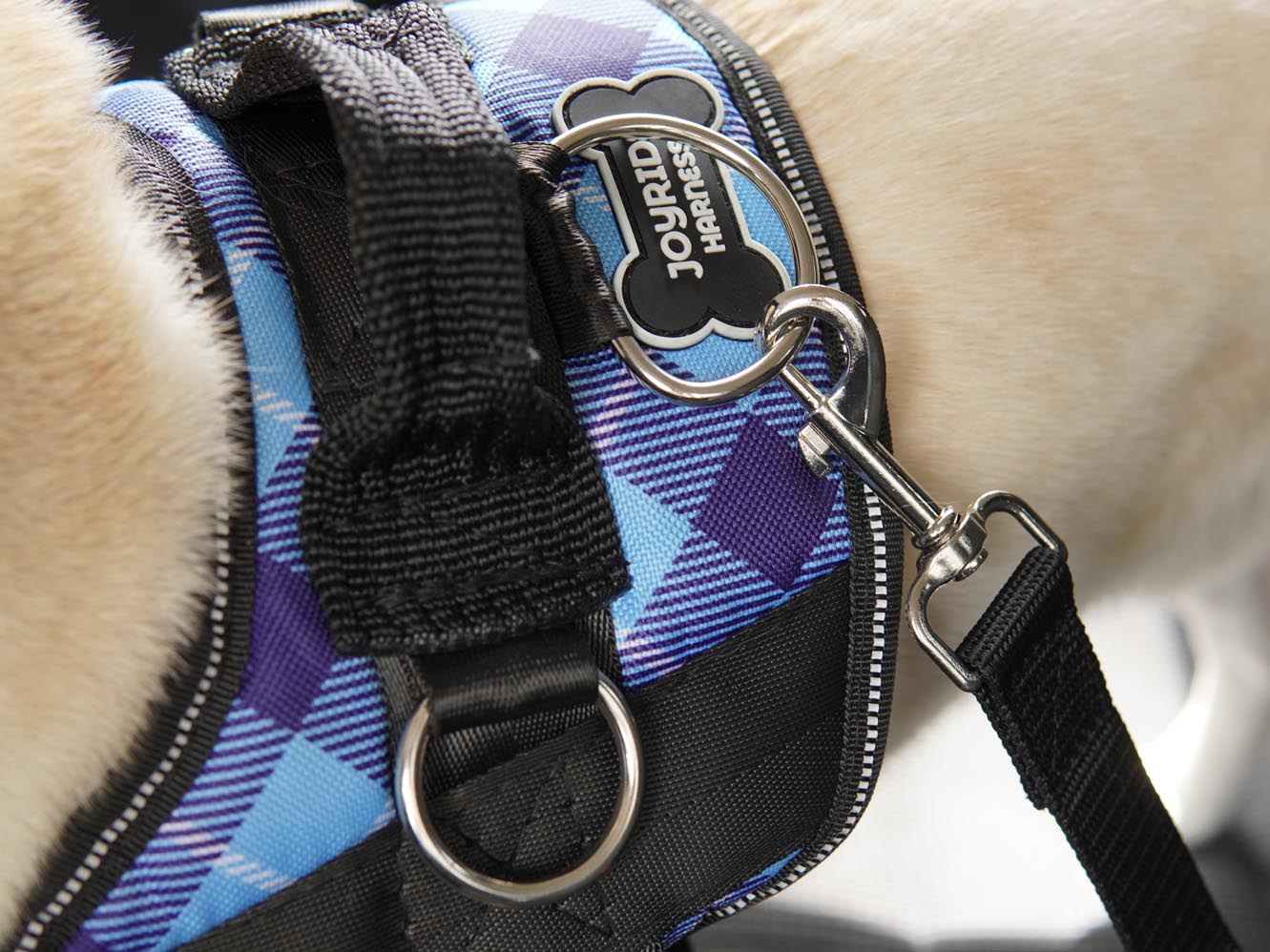 Safety Seatbelt for Dogs Addon