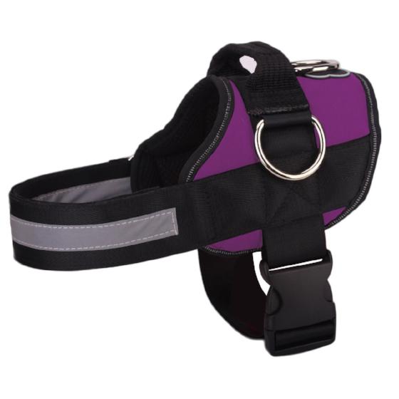 NEW All-In-One™ No Pull Dog Harness purple