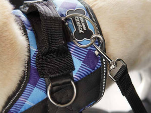 Blossoming Bees Dog Harness, Blossoming Bees